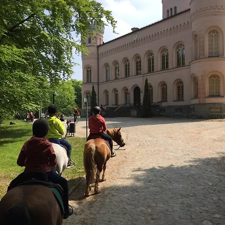 Fewo - Am Buchenberg Ii